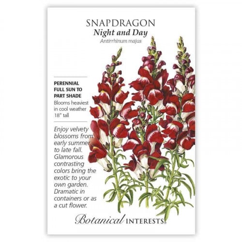 زهرة التنين الحمراء - Night and Day Snapdragon See...