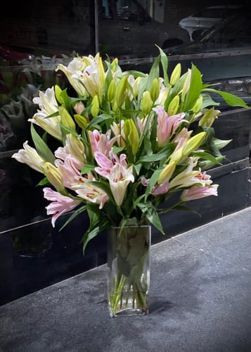 ورود الكازبلنكا على فازه