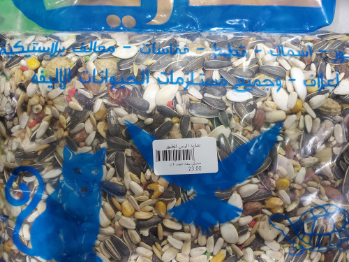 مشكل ببغاء بلجيكي 1 كيلو