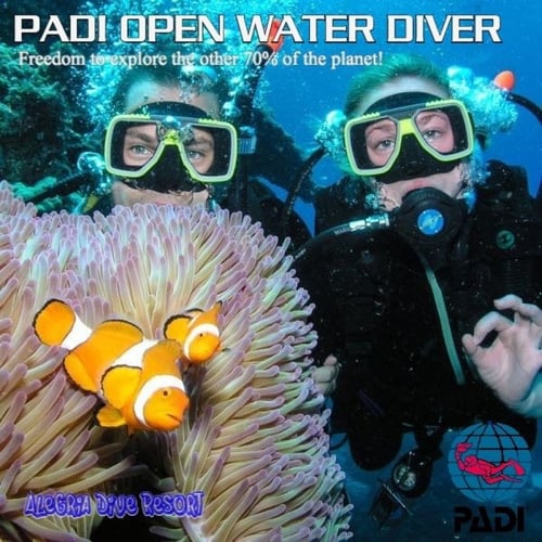 دورة غواص مبتدئ