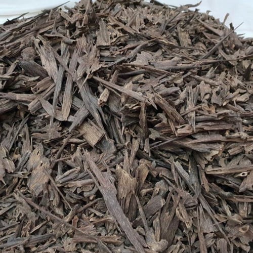 هندي نجلاند سوبر مرتفع