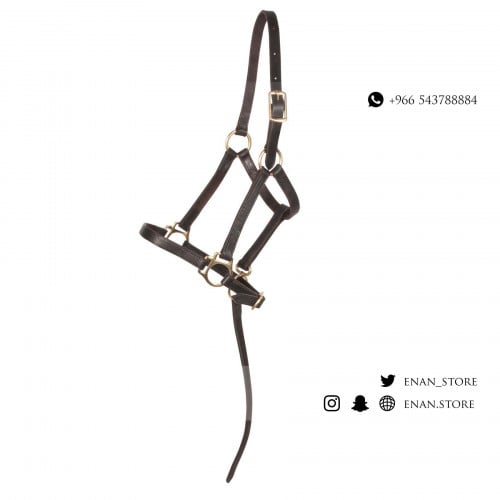 رشمة جلد فاخر مع مقود متصل (صغير)