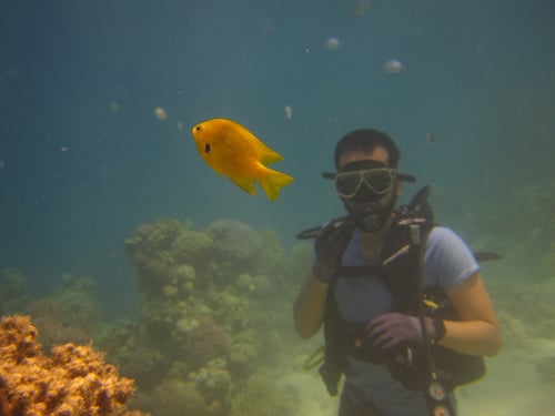 برنامج الغوص المحلي - شاطئ