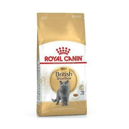 رويال كانين بريتش شورت هير للقطط الكبيرة