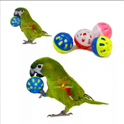 كورة بلاستيك لعبة للطيور