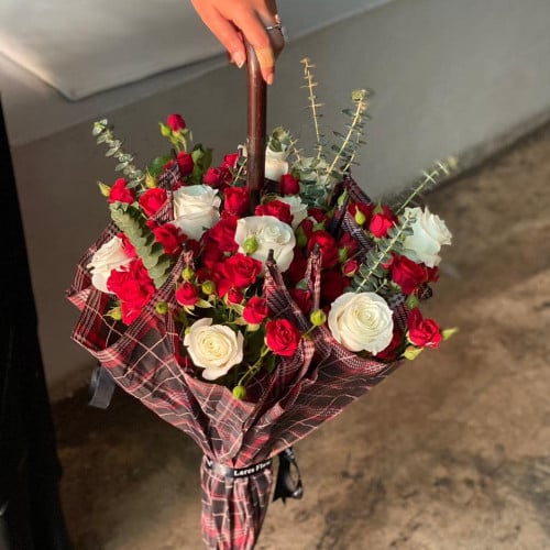 مظلة الشتاء