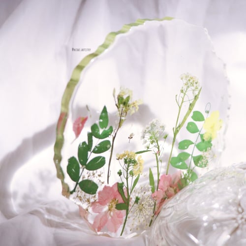 clear coastere قاعده اكواب