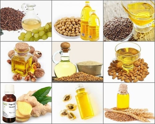 جهاز عصر البذور - ماكينة العصر