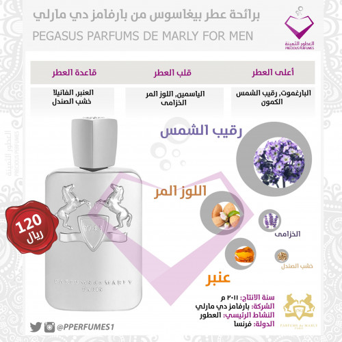 بيغاسوس