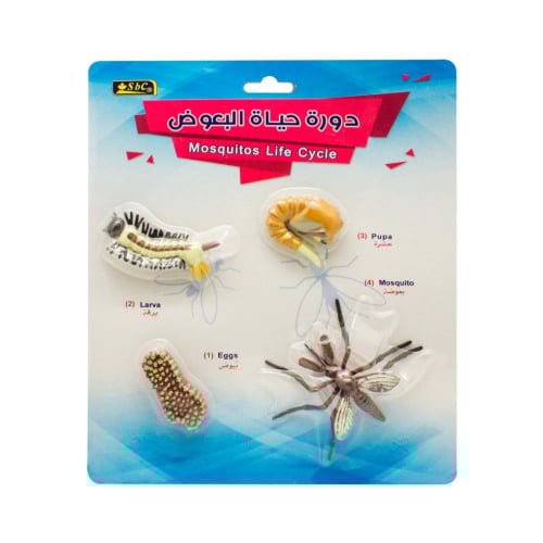 أشكال تعليمية ثلاثية الأبعاد تعلم دورة حياة مكونة...