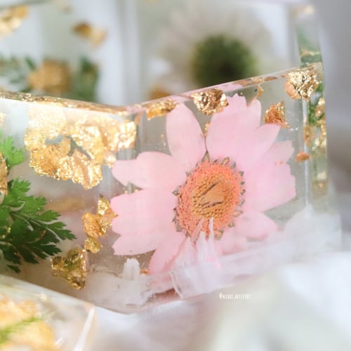 white moth box علبه