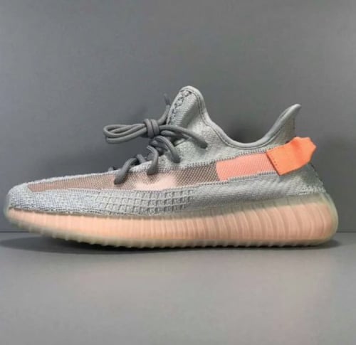 Adidas Yeezy Boost 350 V2 True Form
