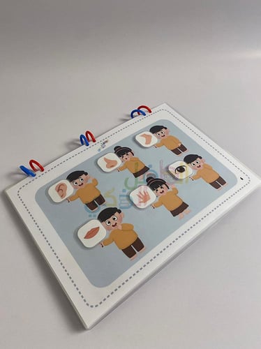 كتيّب المطابقة - الطفل الذكي