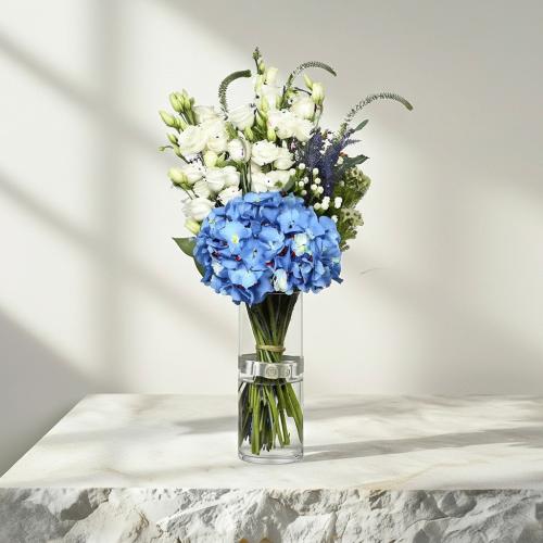 هيدرنجا زرقاء