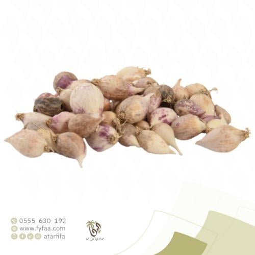 ثوم ذكر درجة اولى