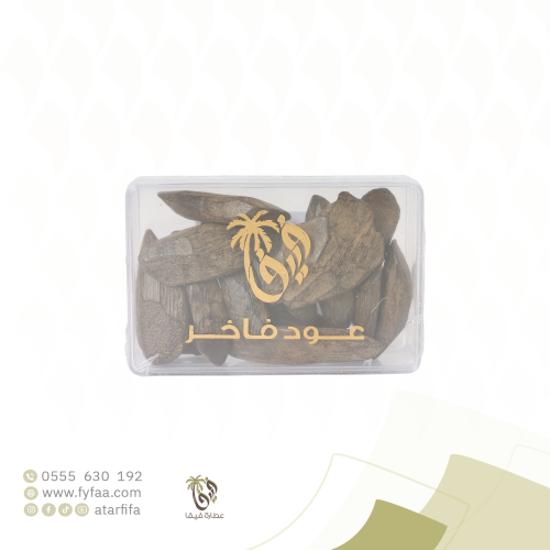 عودة فاخر موروكي فيفا