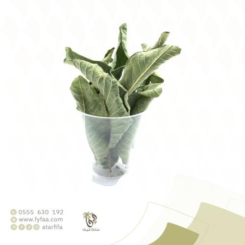 ورق جوافة - 50 جرام