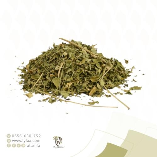 مورينجا ورق - 50 جرام