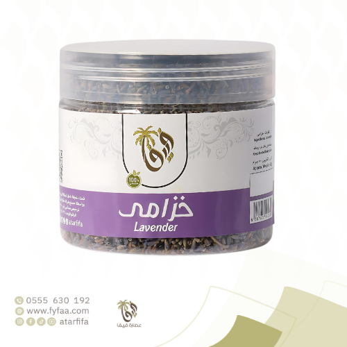 خزامى المدينة فيفا