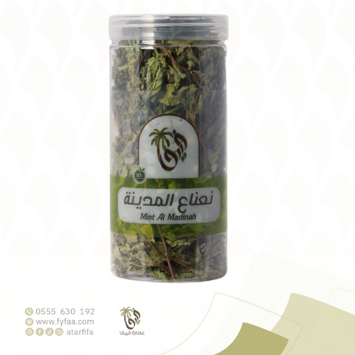 نعناع المدينة فيفا 30 جرام