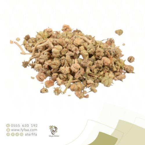 شوكة الجمل - 50 جرام