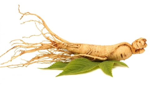 جذور الجنسنج 50 جرام