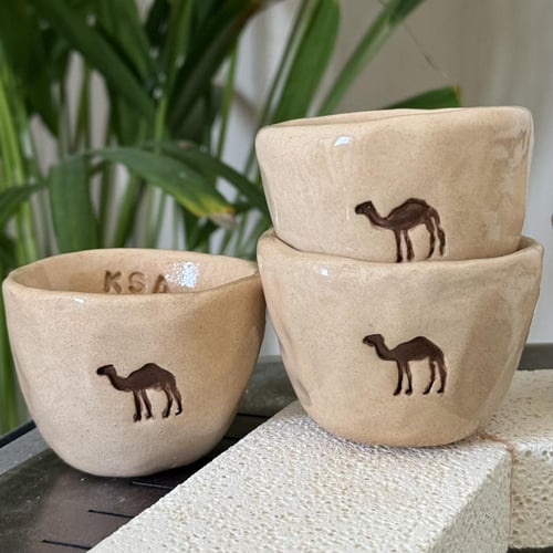 مجموعة٣ فناجيل