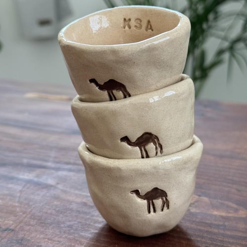 مجموعة٣ فناجيل