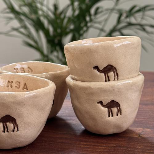 مجموعة٣ فناجيل