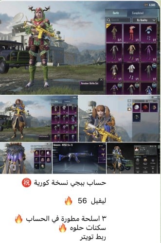 حساب ببجي كوري k11
