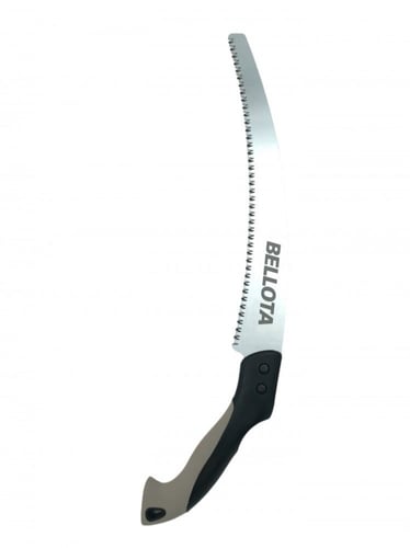 منشار شجر اسباني