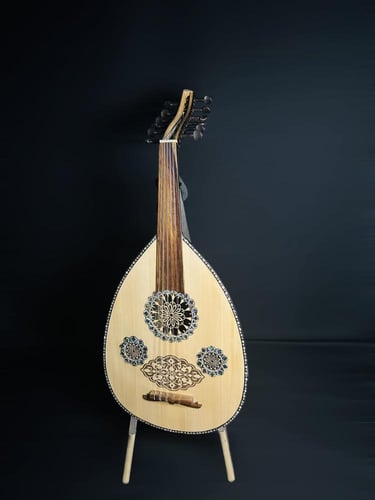 العود الاحترافي لوكس ظهر ملون