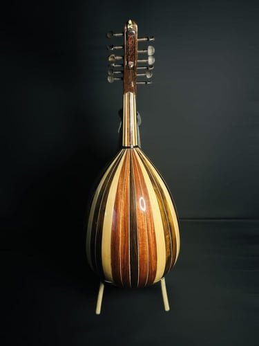 العود الاحترافي لوكس ظهر ملون