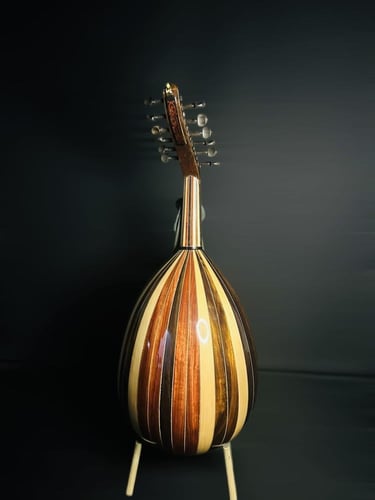 العود الاحترافي لوكس ظهر ملون