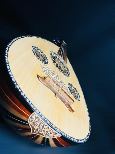 عود موسيقي مصدف لوكس فاخر