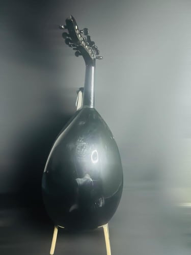 عود موسيقي فئة متوسطة