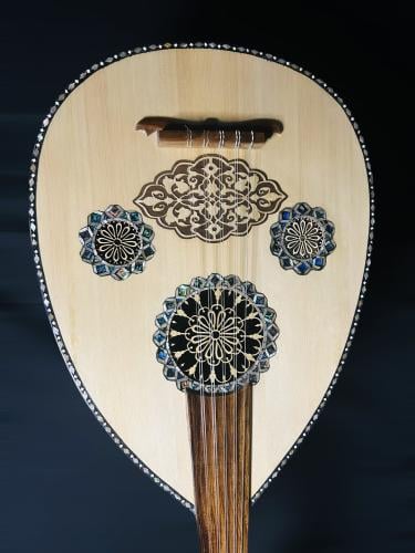 العود الاحترافي لوكس ظهر ملون