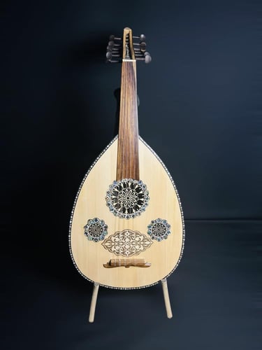 العود الاحترافي لوكس ظهر ملون