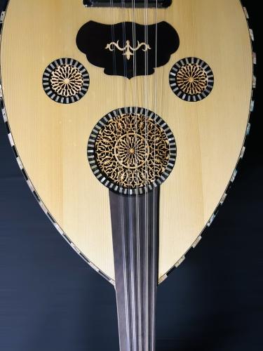 عود كهربائي فاخر سوبر لوكس احترافي