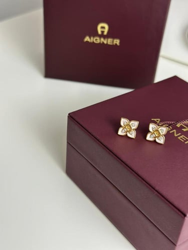 AIGNER earnings