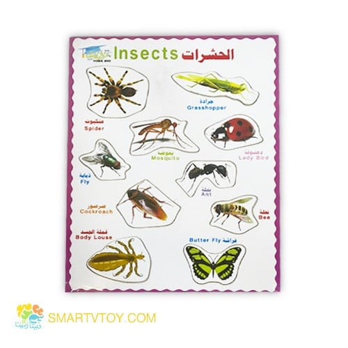 لوح تطابق - حشرات