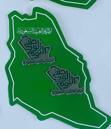 درزن 12 قطعة بروش حديد مع لاصق لاستخدامه للجوال -...