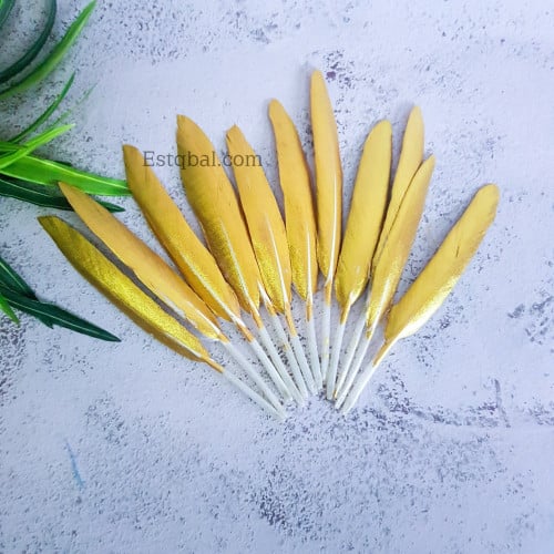 درزن 12 قطعة ريش ذهبي سادة ES290