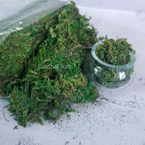 عشب للتزيين ES334