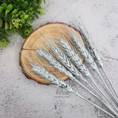 سنبلة فضي ES058