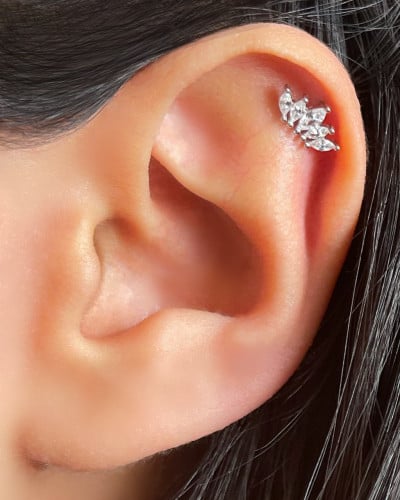 Silver arch Ball-back