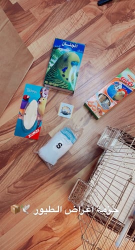 عصافير - البداجي