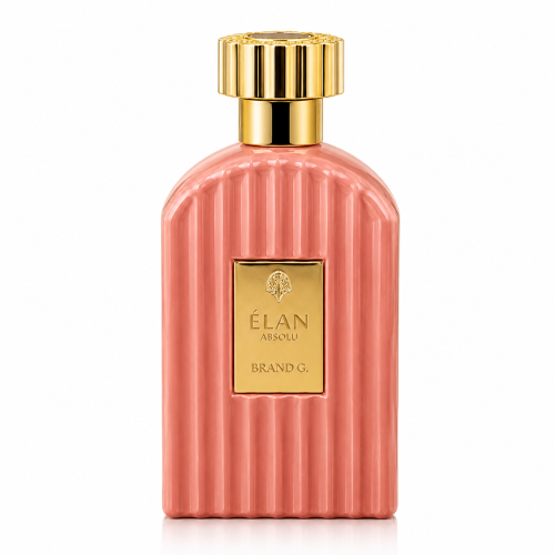 ELAN ABSOLU