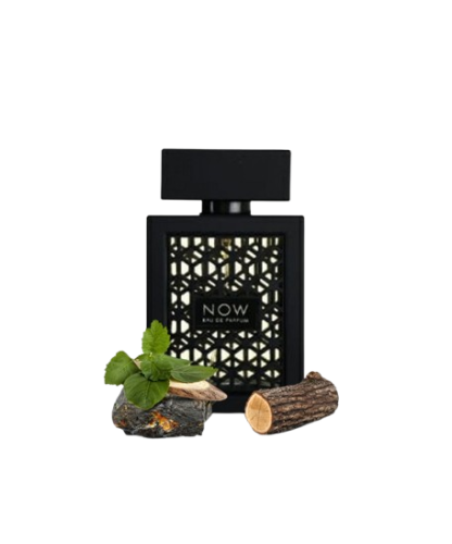 عطر ناو انتنس ريف