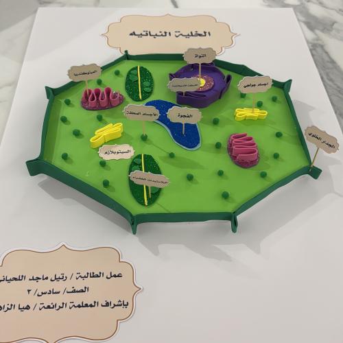 الخلية النباتيه